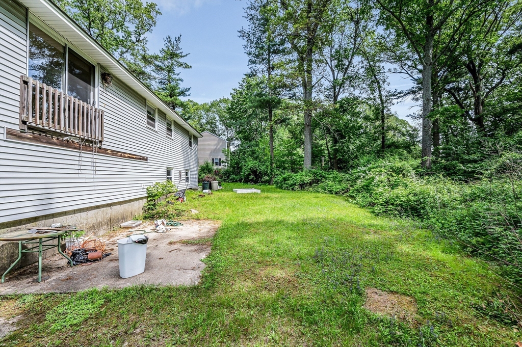 19 Porter St