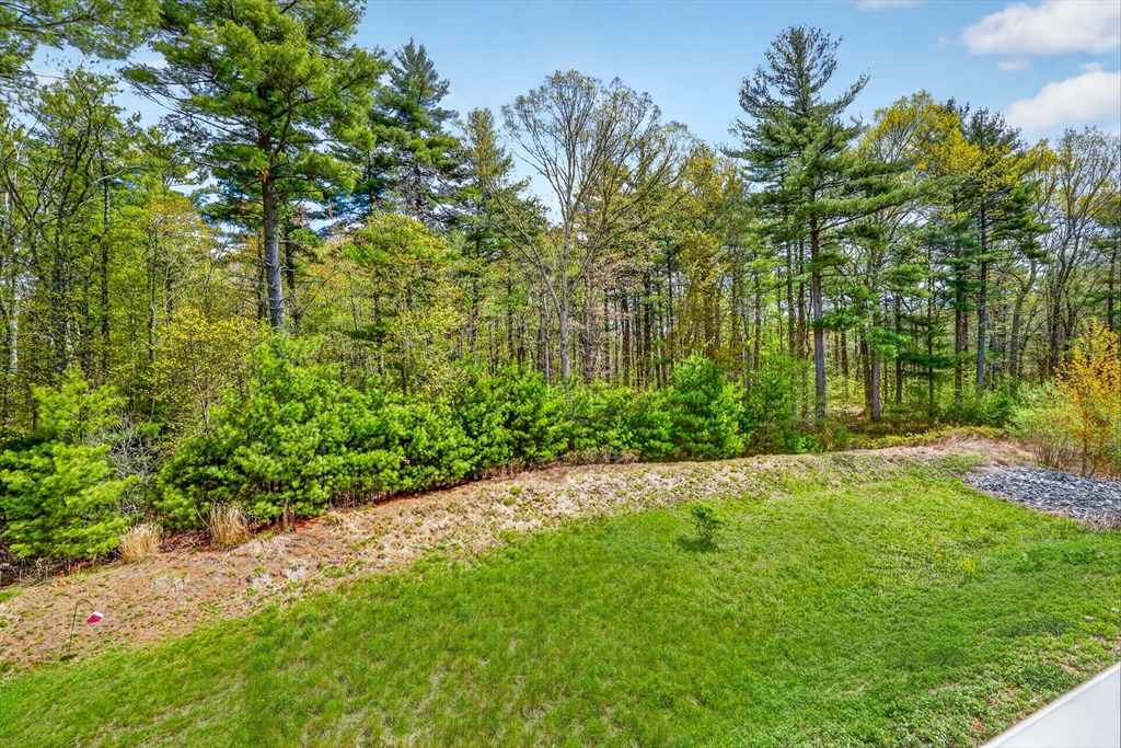 96 Turtle Brook Road #18-3, Canton, MA Photo #29