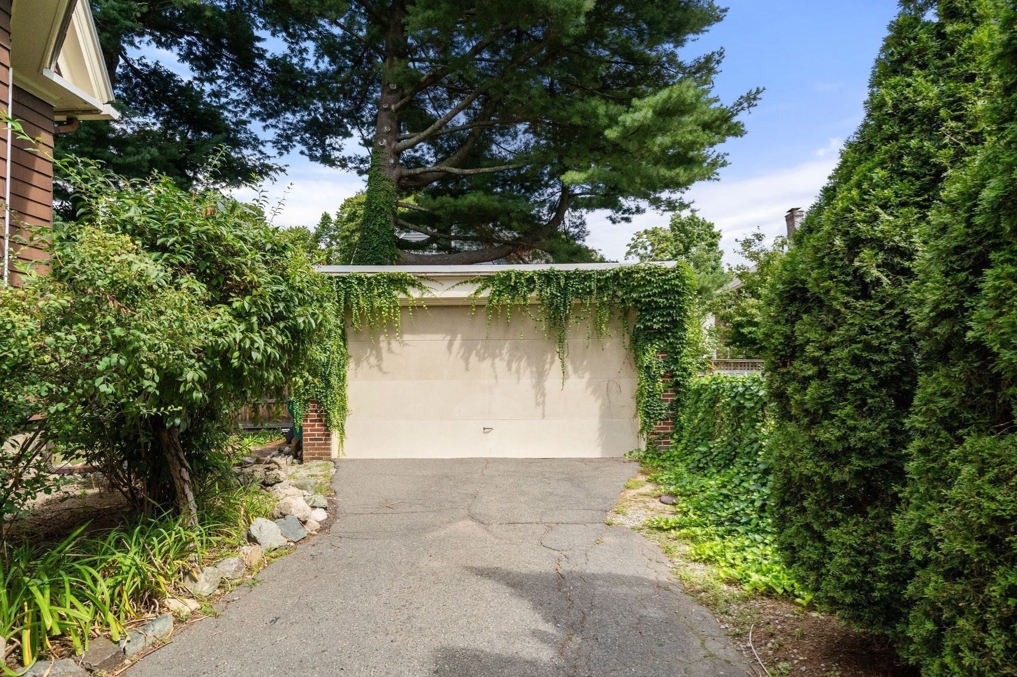 18 Loring Street, Newton, MA Photo #19