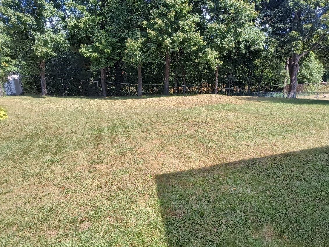 81 Beveridge Blvd, Westfield, MA, 81 Beveridge Blvd, Westfield, MA Photo #29