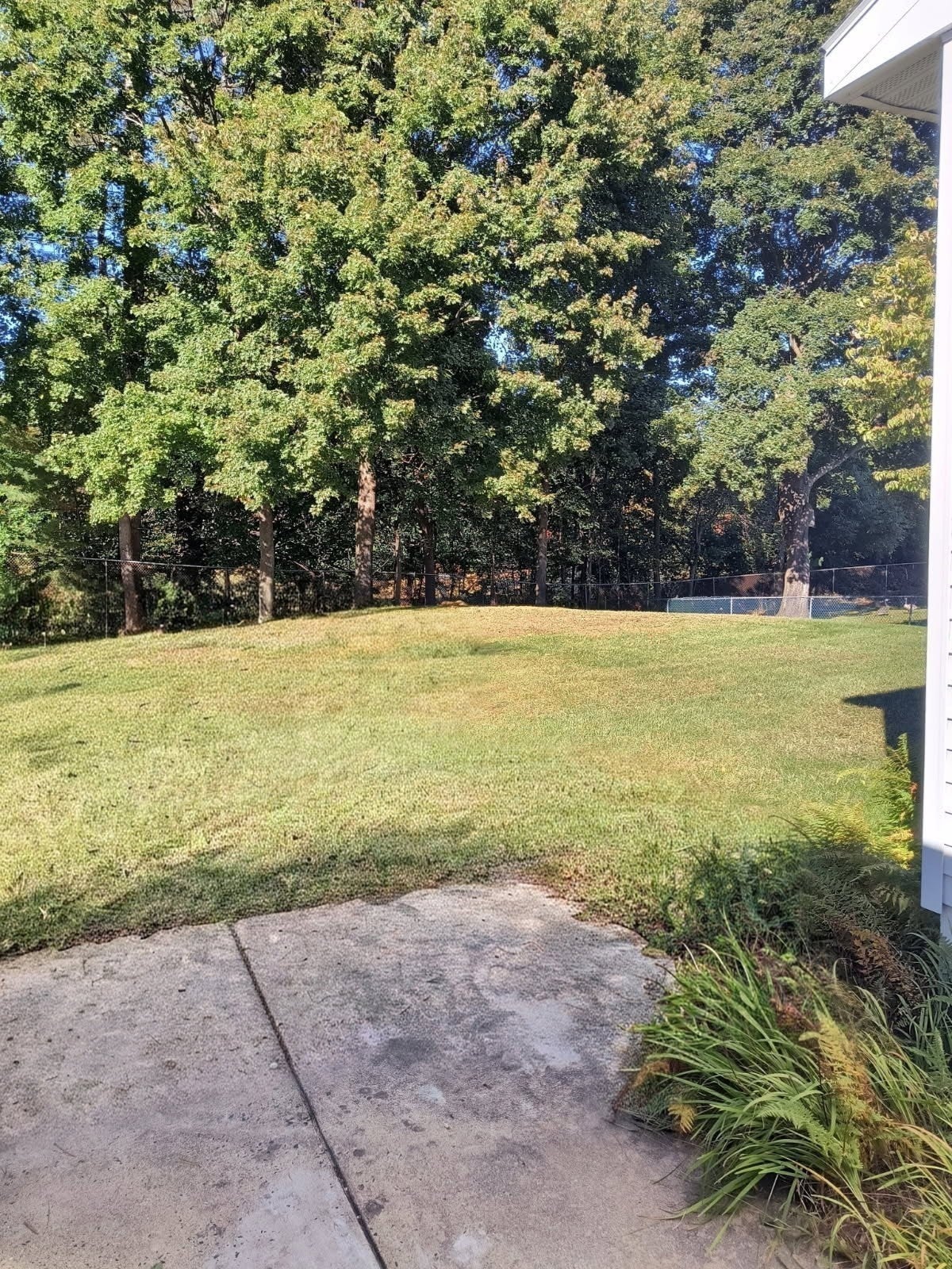 81 Beveridge Blvd, Westfield, MA, 81 Beveridge Blvd, Westfield, MA Photo #26