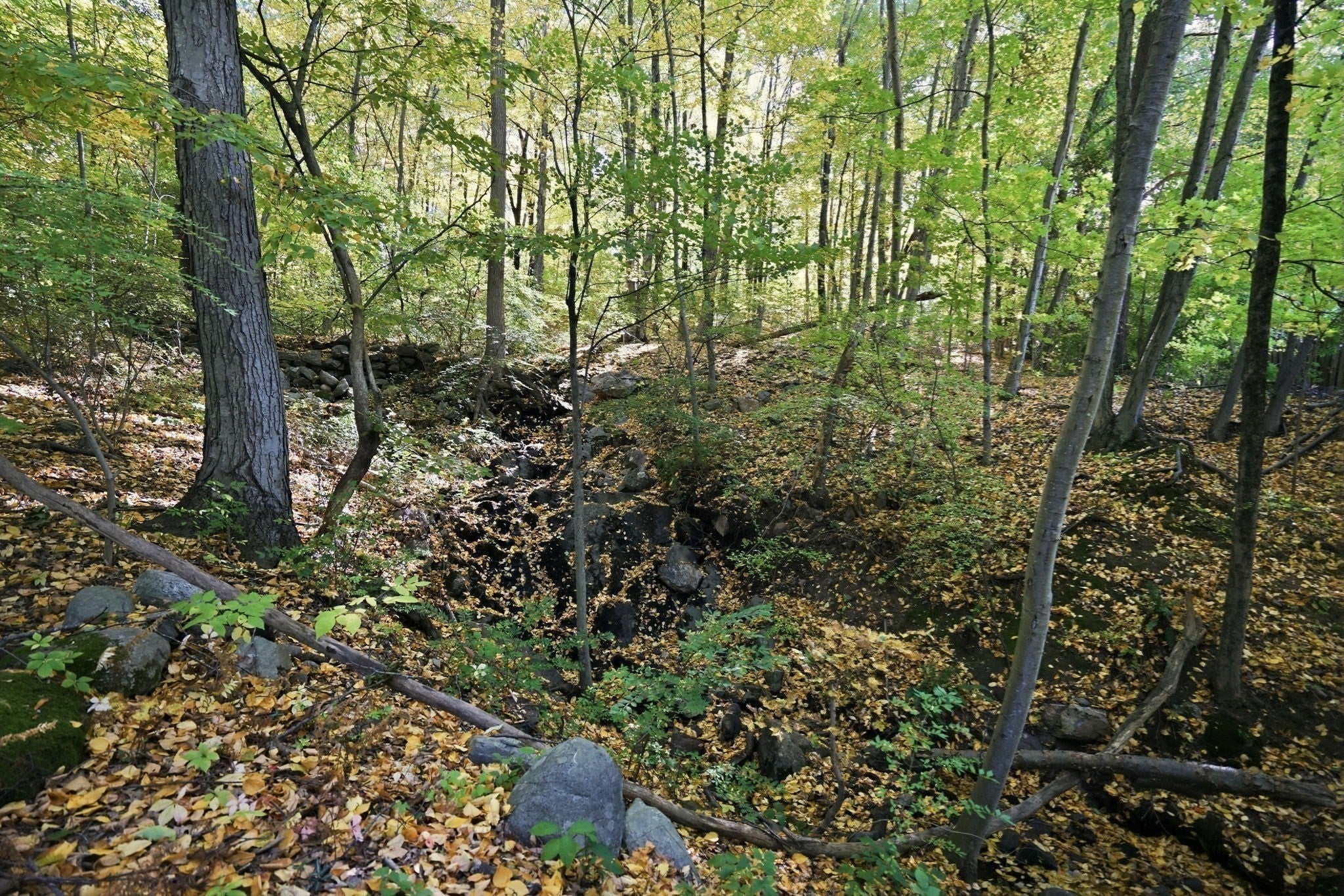 338 Wilbraham Rd, Hampden, MA, 338 Wilbraham Rd, Hampden, MA Photo #14