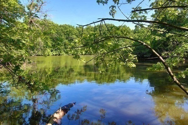 99 Pond Avenue PH804, Brookline, MA, 99 Pond Avenue PH804, Brookline, MA Photo #18
