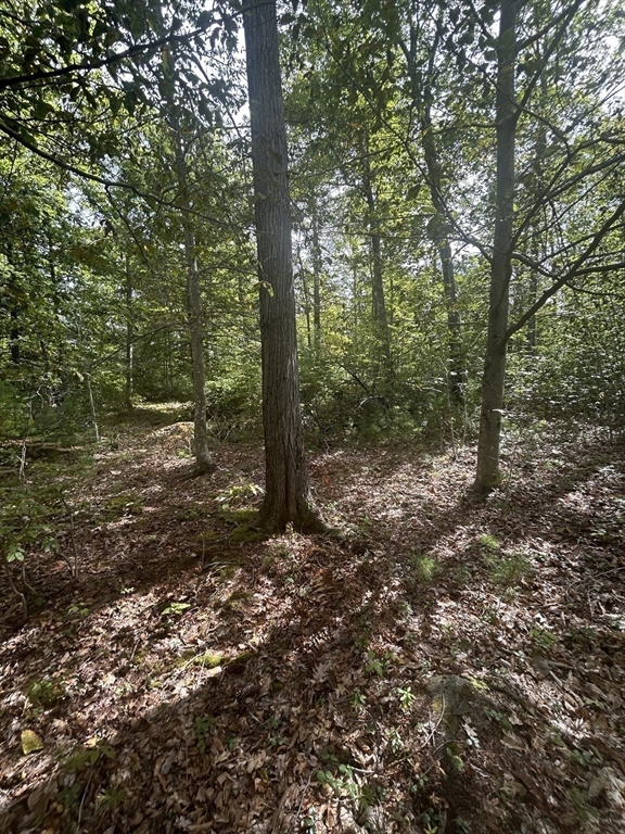 531 Mason Rd