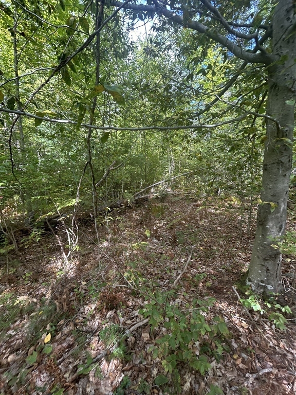 531 Mason Rd