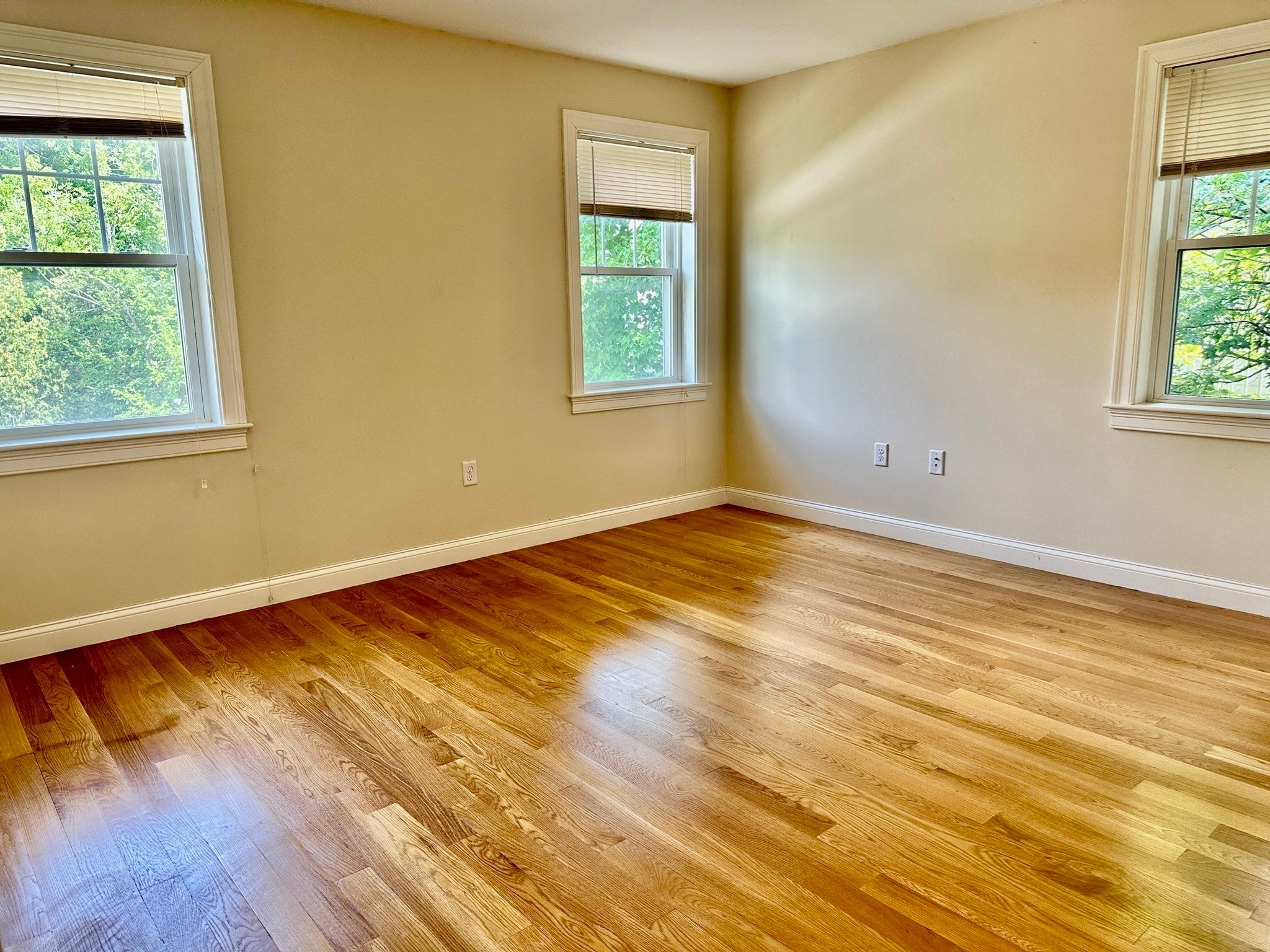 299 Cabot Street #A, Newton, MA, 299 Cabot Street #A, Newton, MA Photo #13