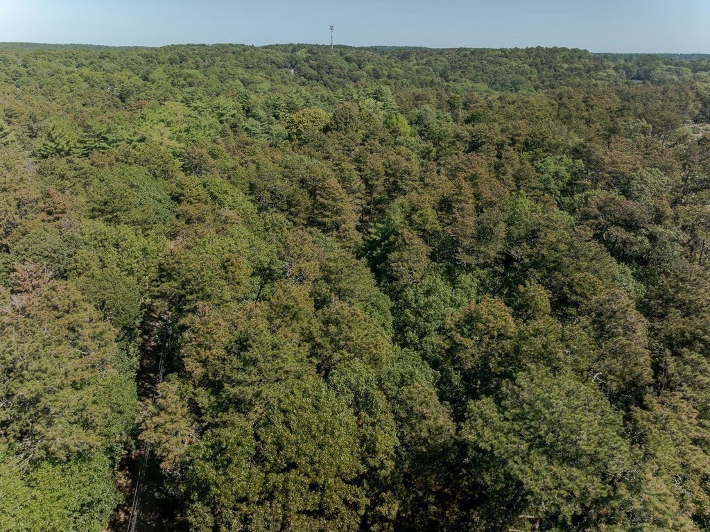 Wellfleet, Massachusetts 02667, United States, ,Land,Active,212802