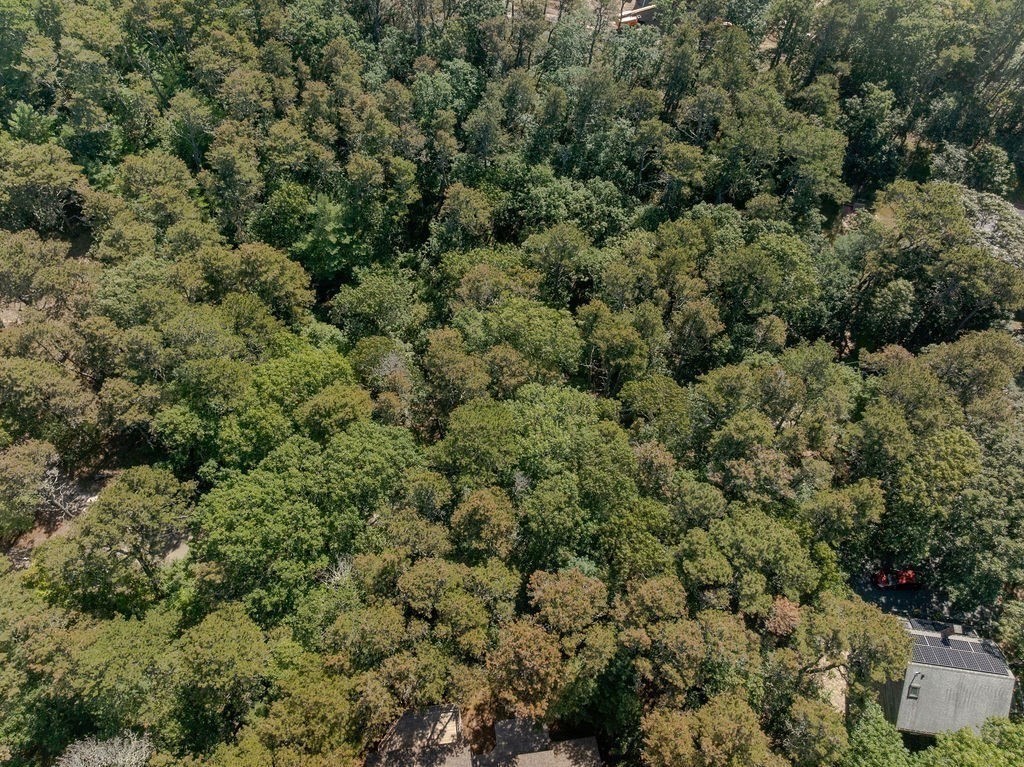 Wellfleet, Massachusetts 02667, United States, ,Land,Active,212802