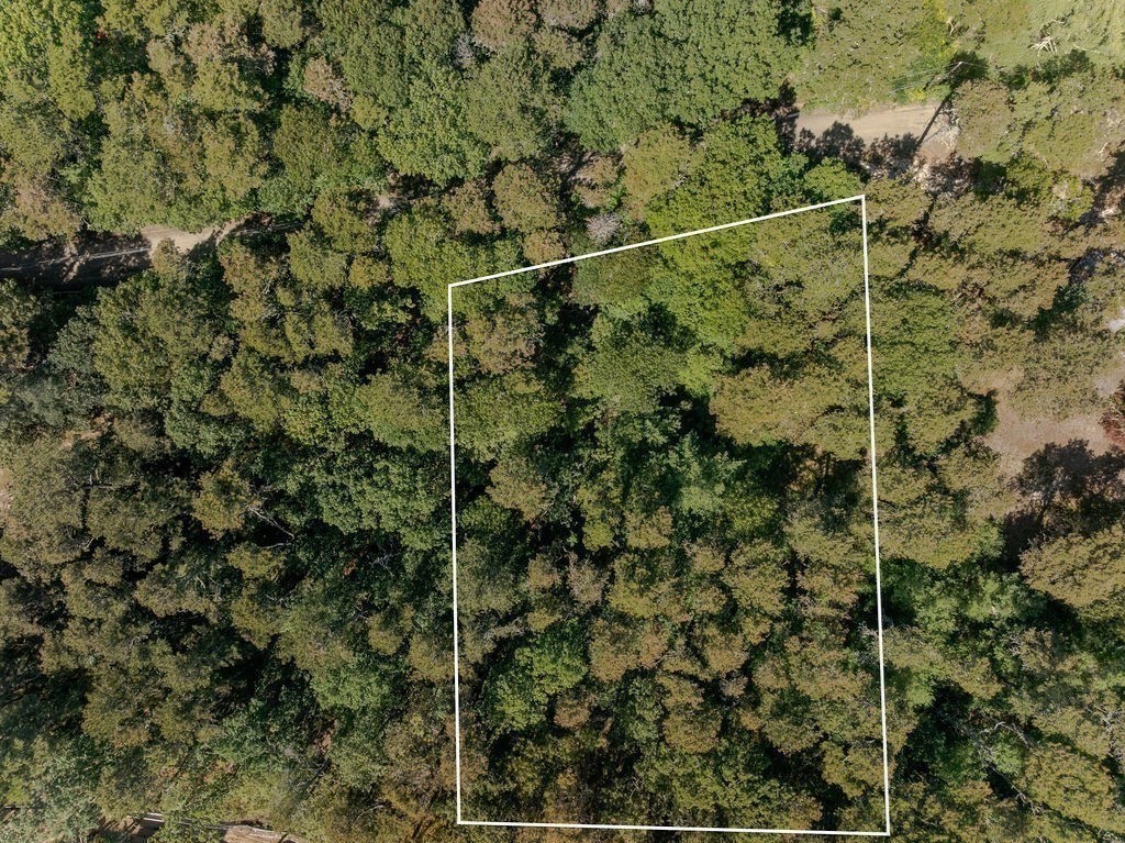 Wellfleet, Massachusetts 02667, United States, ,Land,Active,212802