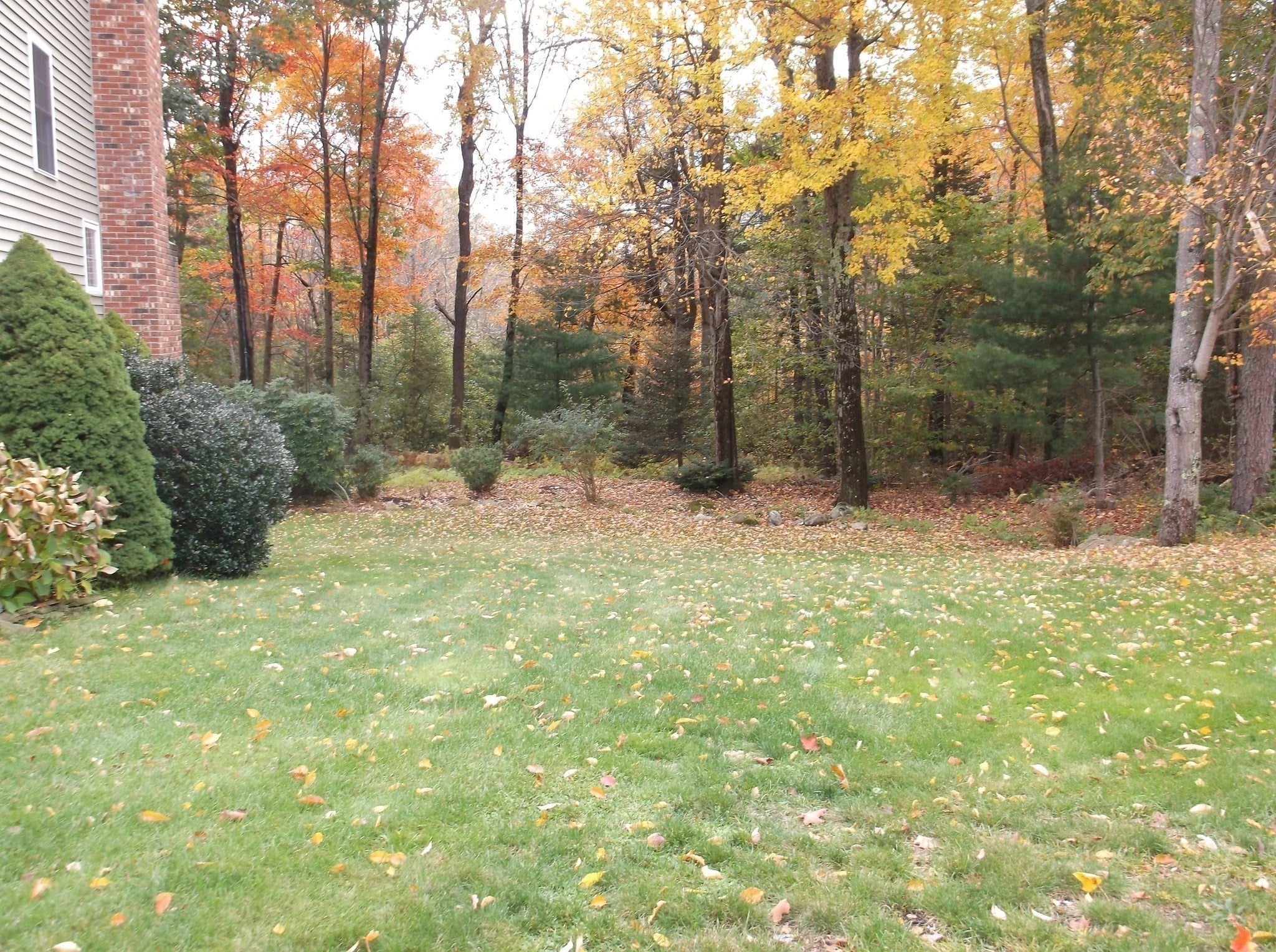 71 Nicolle Ter, Gardner, MA, 71 Nicolle Ter, Gardner, MA Photo #37