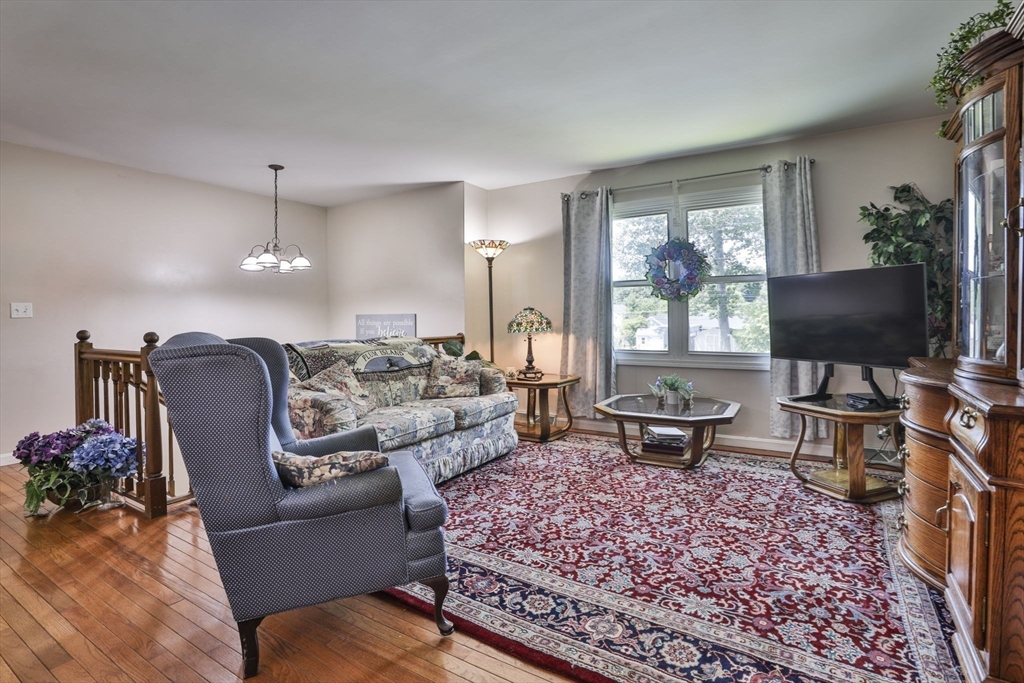 11 Birchmont St
