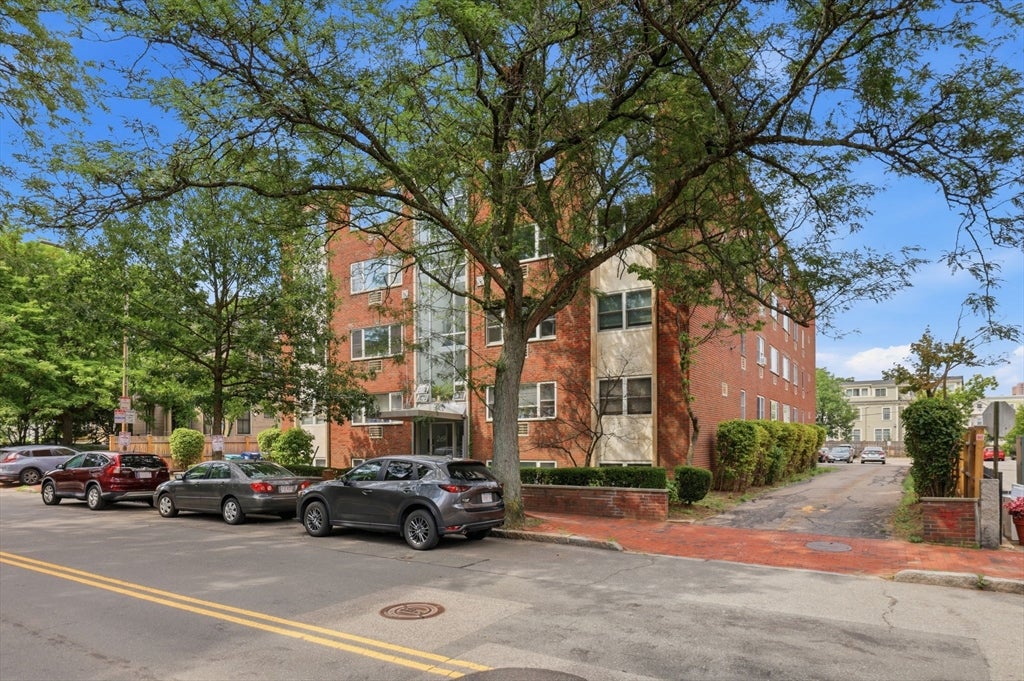 269 Harvard St #14, Cambridge, MA, 269 Harvard St #14, Cambridge, MA Photo #23