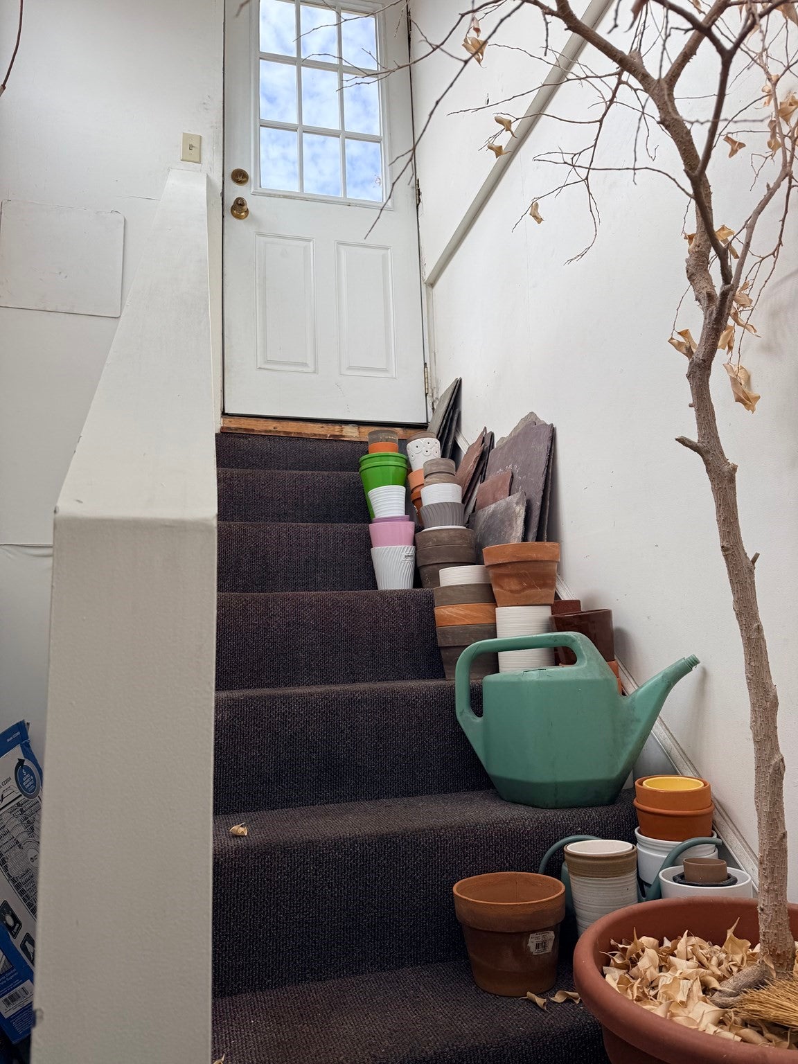 110 Kinnaird St #B, Cambridge, MA, 110 Kinnaird St #B, Cambridge, MA Photo #7