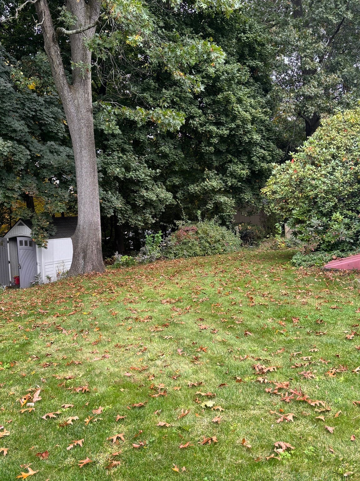 250 W Allen Ridge Rd