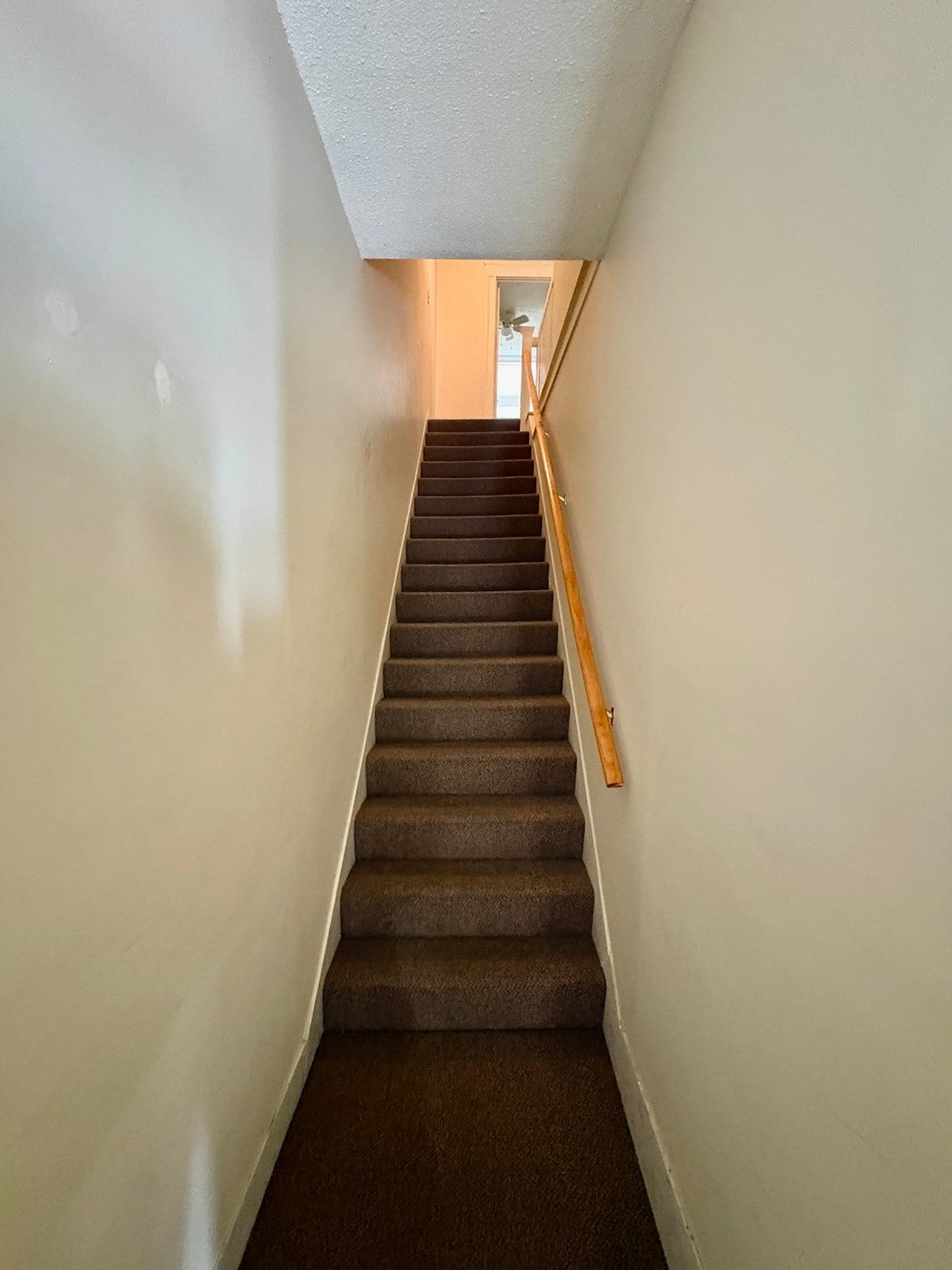 21 Bellevue St 3