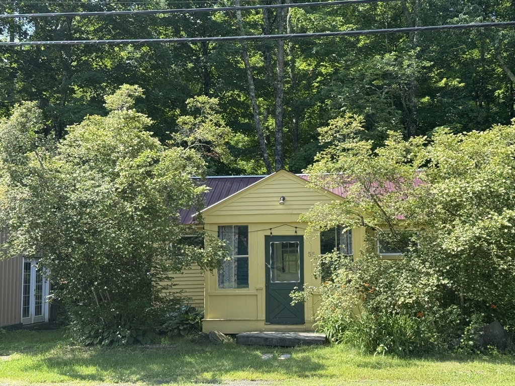 55 Ashfield Rd