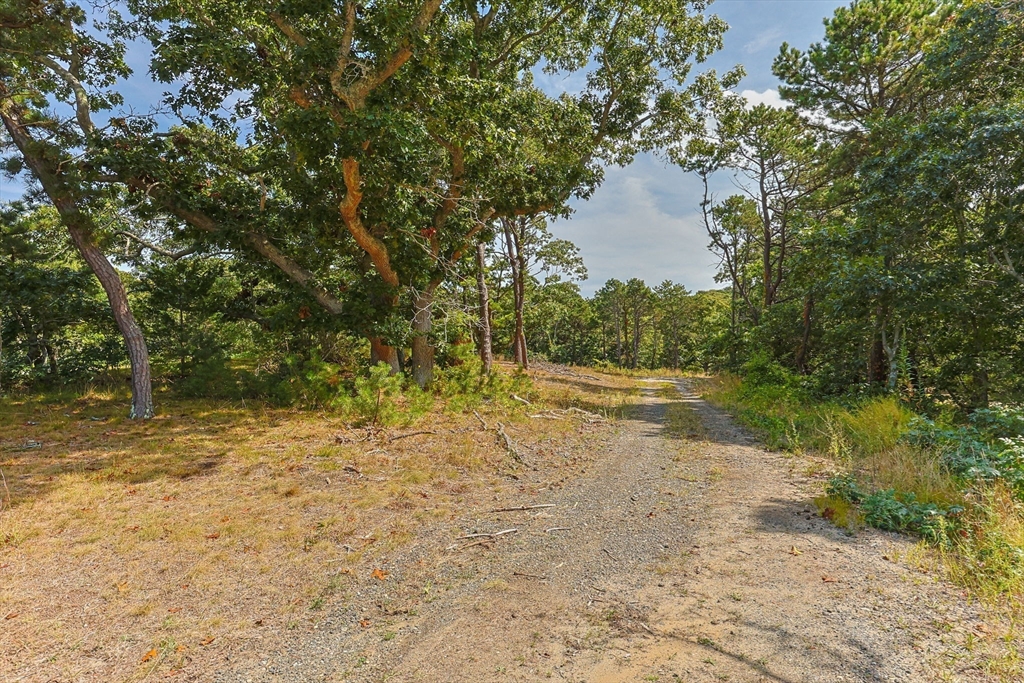 7 Arrowhead Farm Road