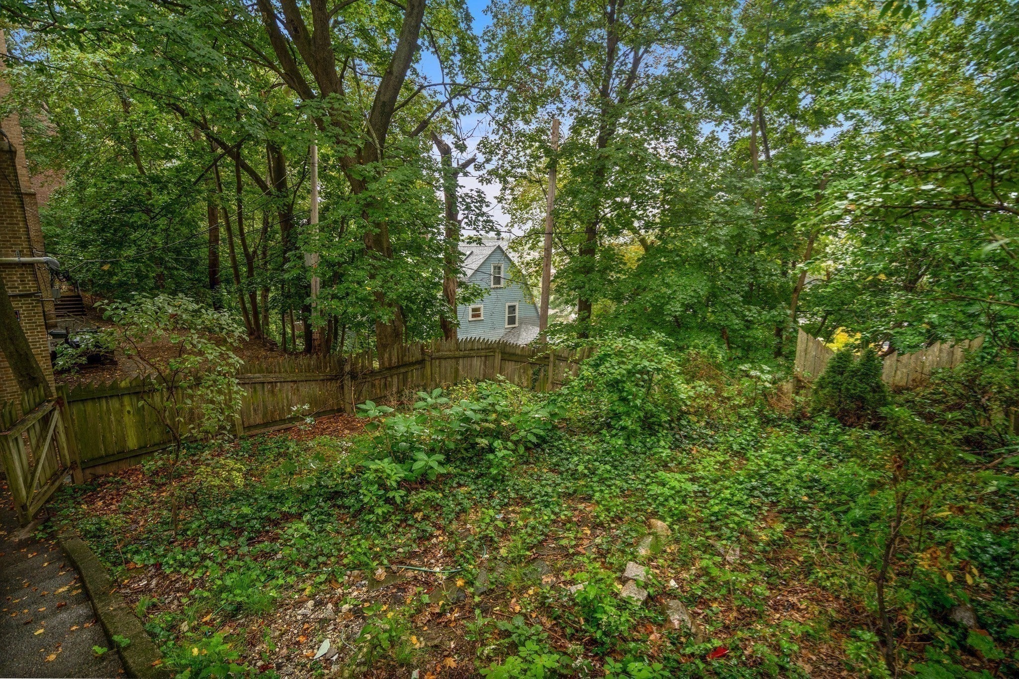 57 Notting Hill Road, Boston, MA Photo #21