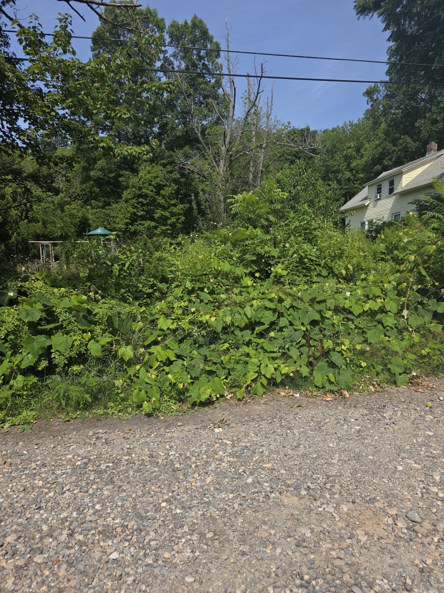 42-44 Maravista Rd, Worcester, MA, 42-44 Maravista Rd, Worcester, MA Photo #3