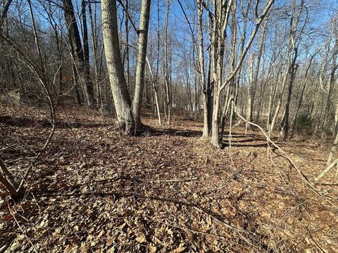 Lot 1 Woodhill Rd Monson MA 01057