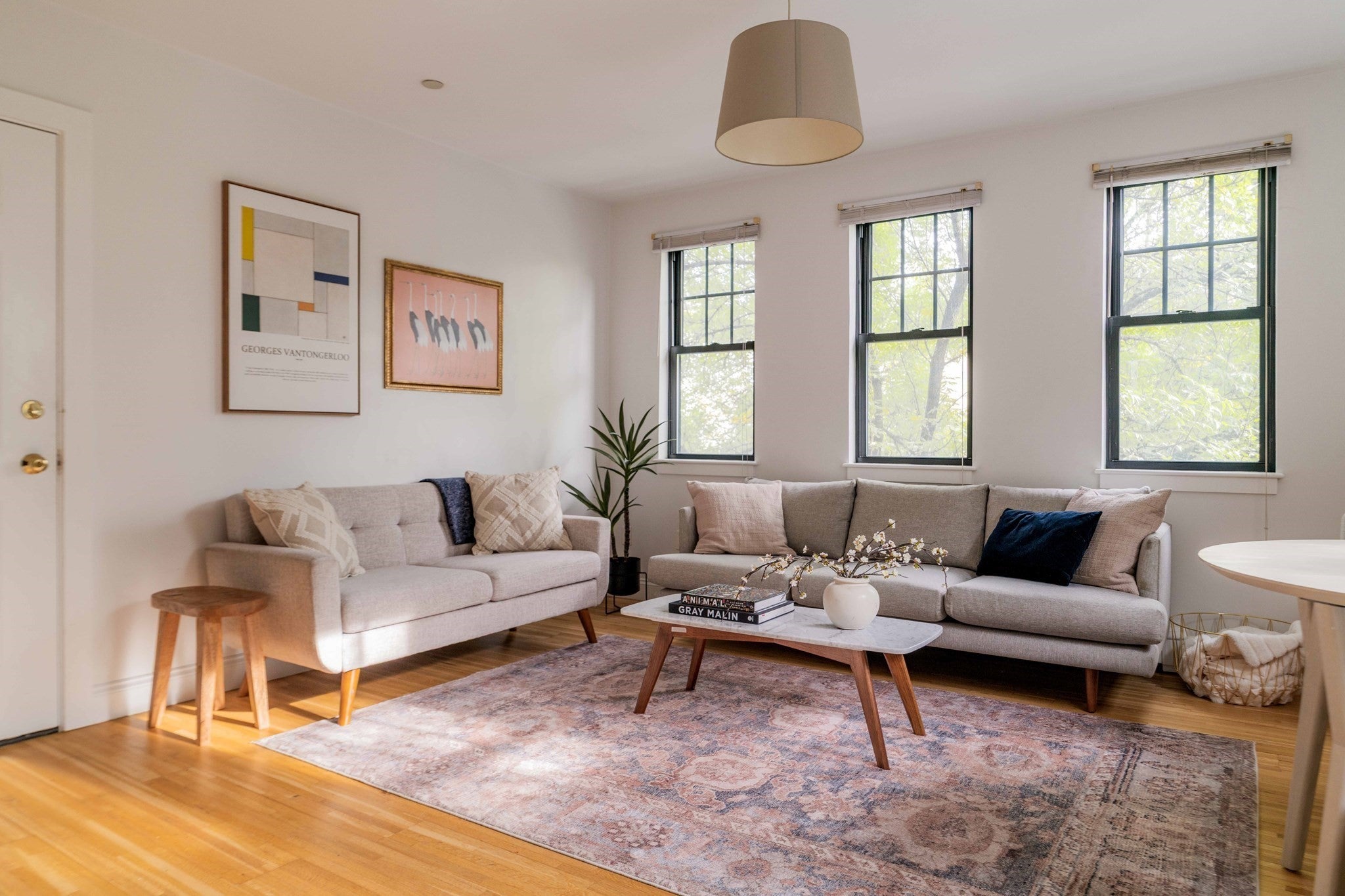 241 River Street #6, Cambridge, MA, 241 River Street #6, Cambridge, MA Photo #1