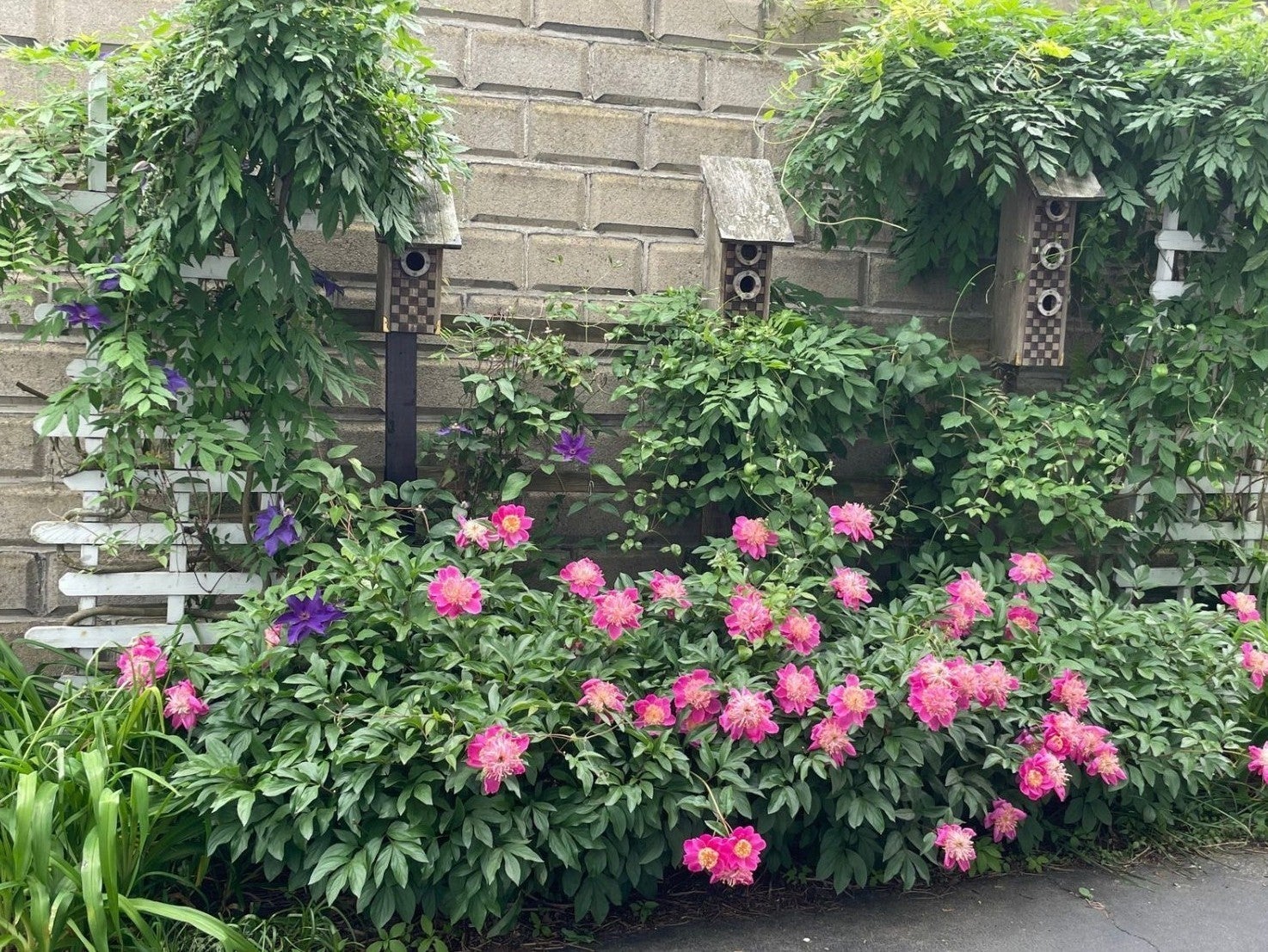 7 Fordham Street #2, Arlington, MA, 7 Fordham Street #2, Arlington, MA Photo #25