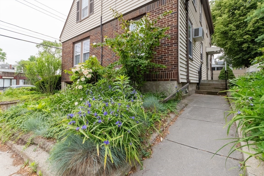 504 Mount Auburn Street