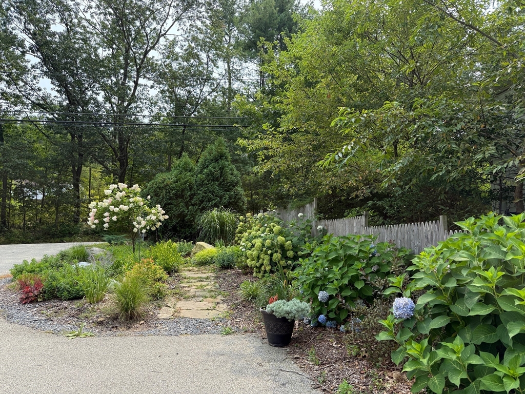 56 Frost Road