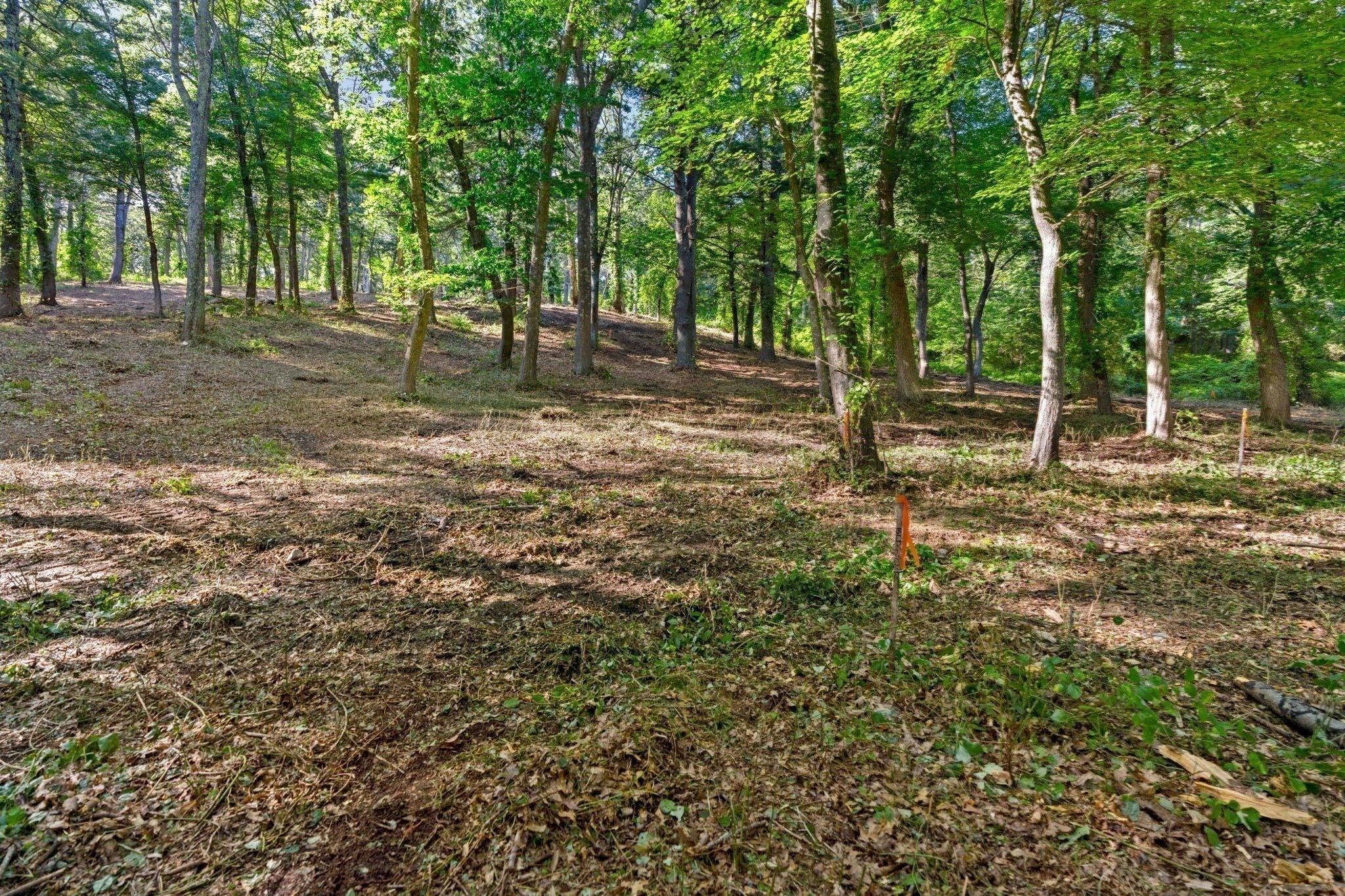 45 Pineswamp Rd