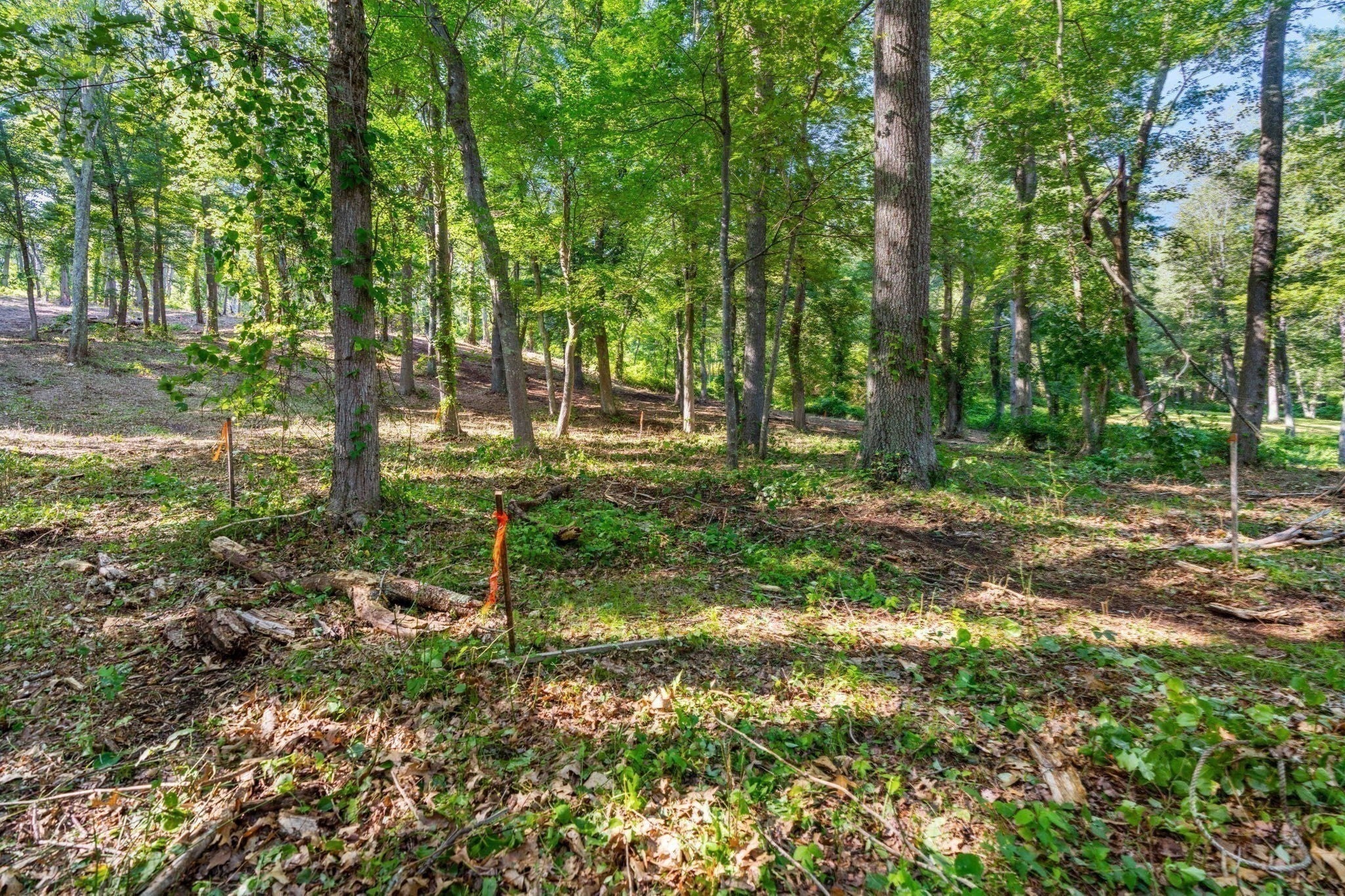 45 Pineswamp Rd