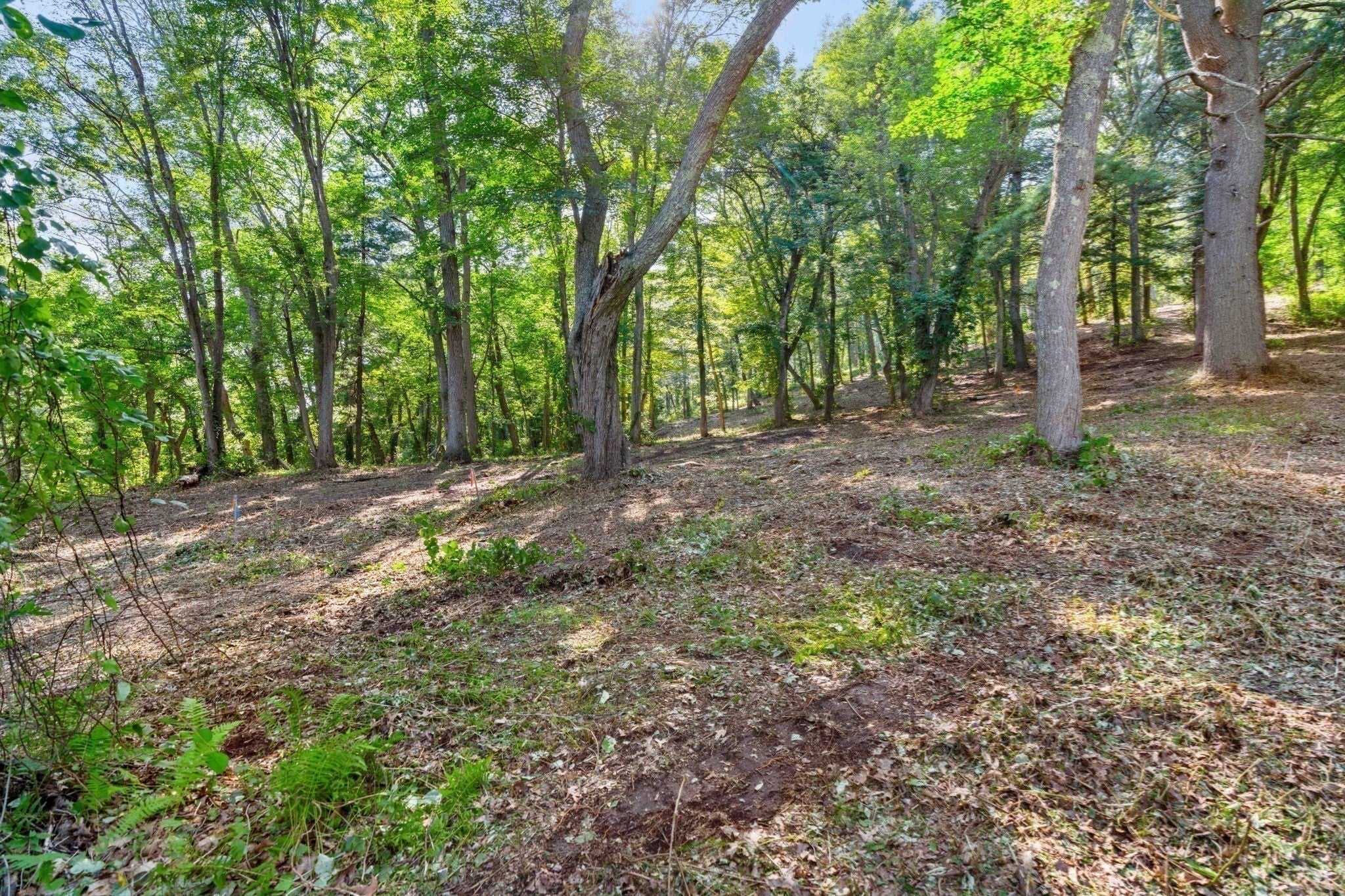45 Pineswamp Rd