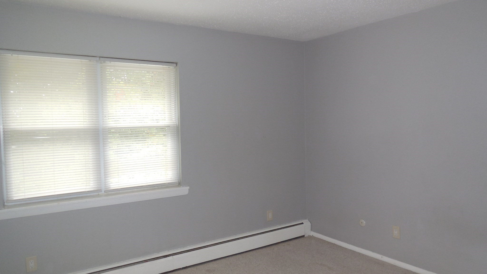 261 Regency Park Dr #261, Agawam, MA Photo #7