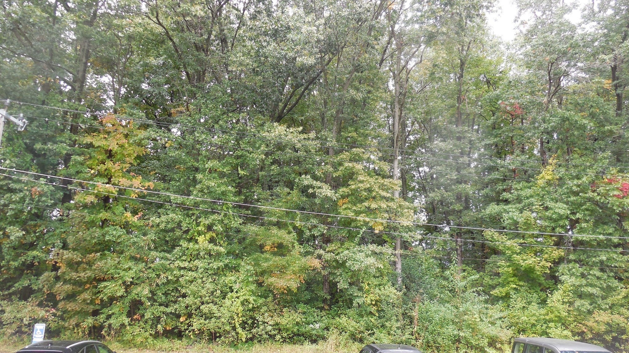 261 Regency Park Dr #261, Agawam, MA Photo #13