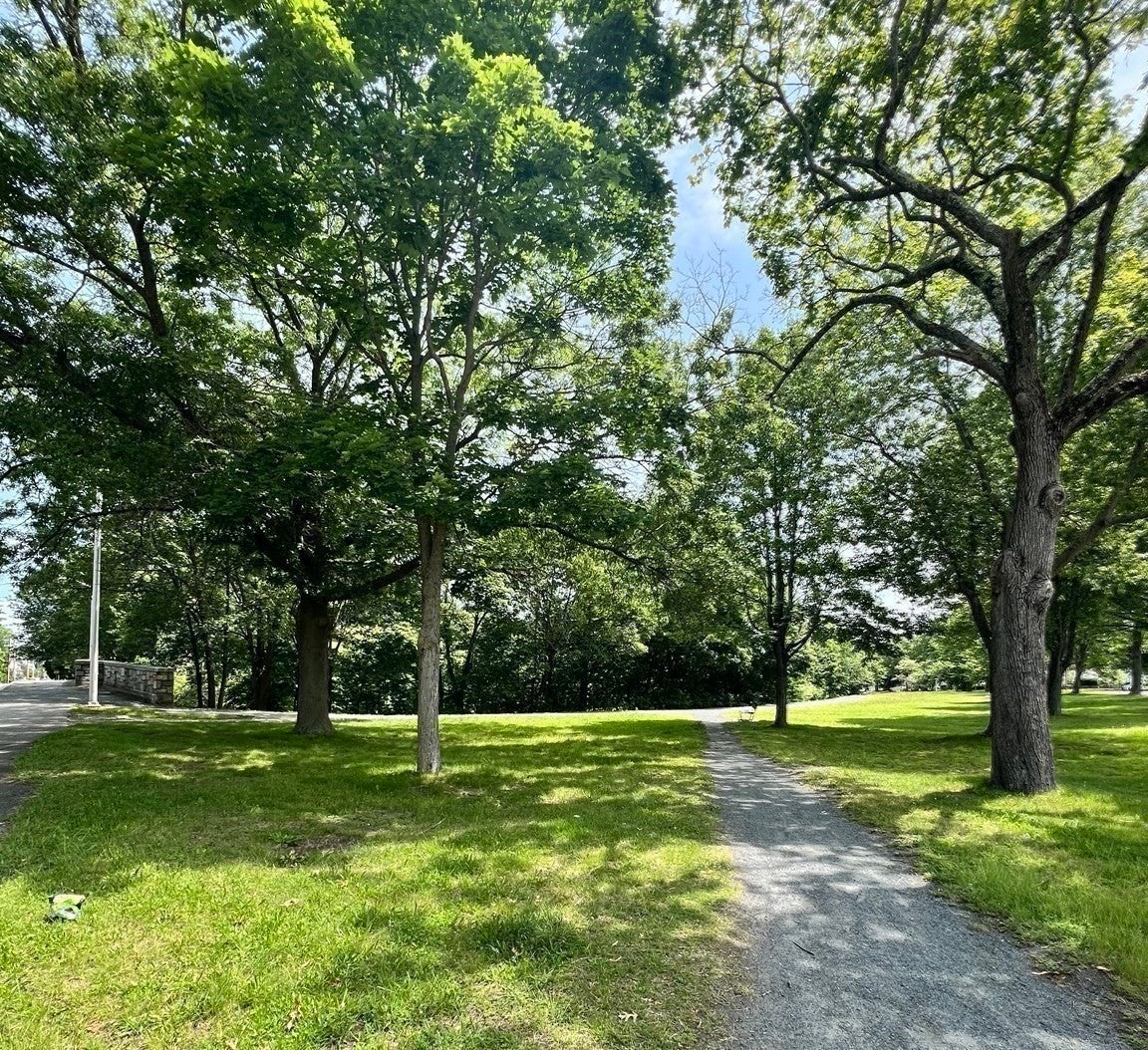 82-84 River St #84, Arlington, MA, 82-84 River St #84, Arlington, MA Photo #32