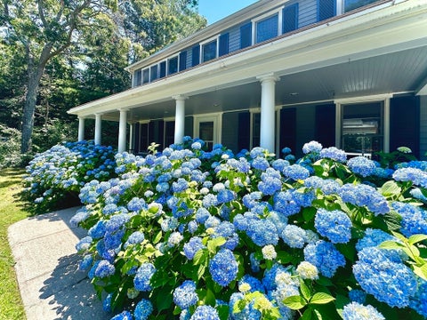 Photo of 744 Old Barnstable Rd, Mashpee, MA 02649 (MLS # 73530732)