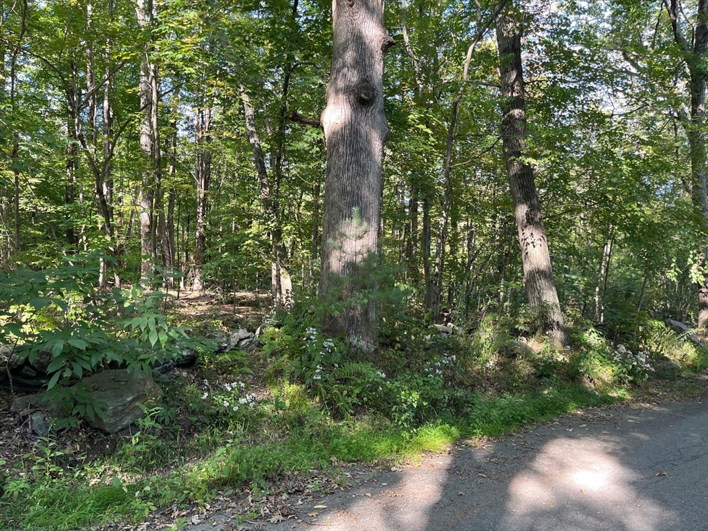 26 Old Brooks Station Rd