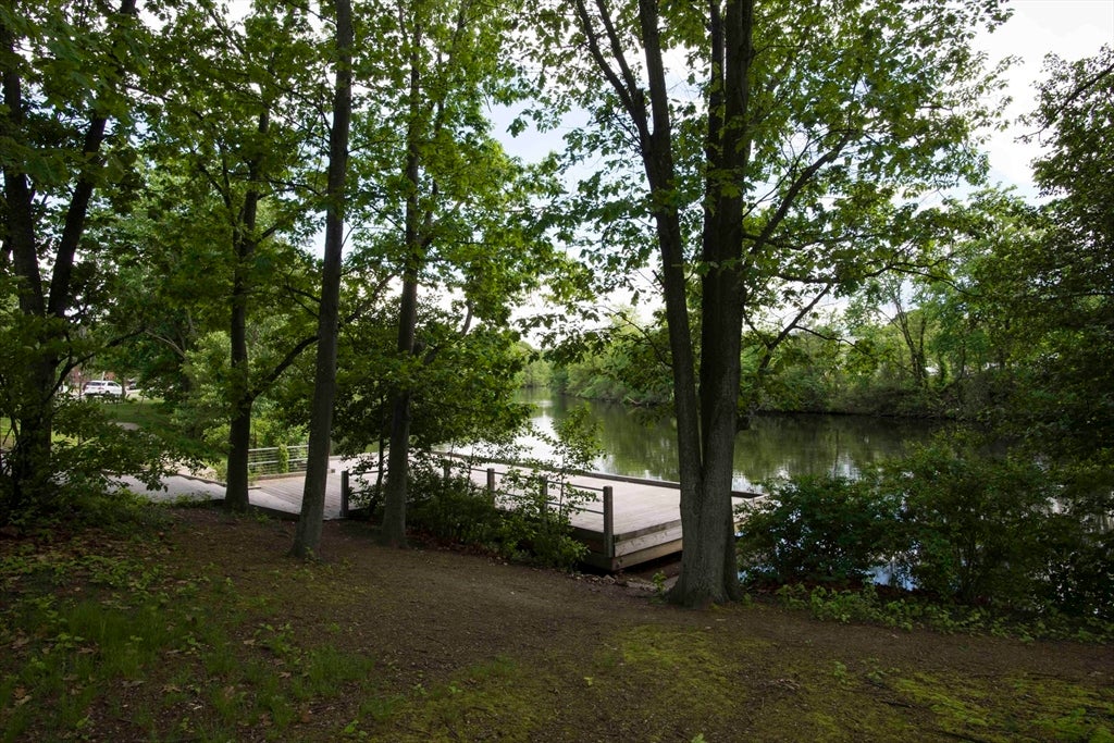 5 Repton Circle #5409, Watertown, MA, 5 Repton Circle #5409, Watertown, MA Photo #21