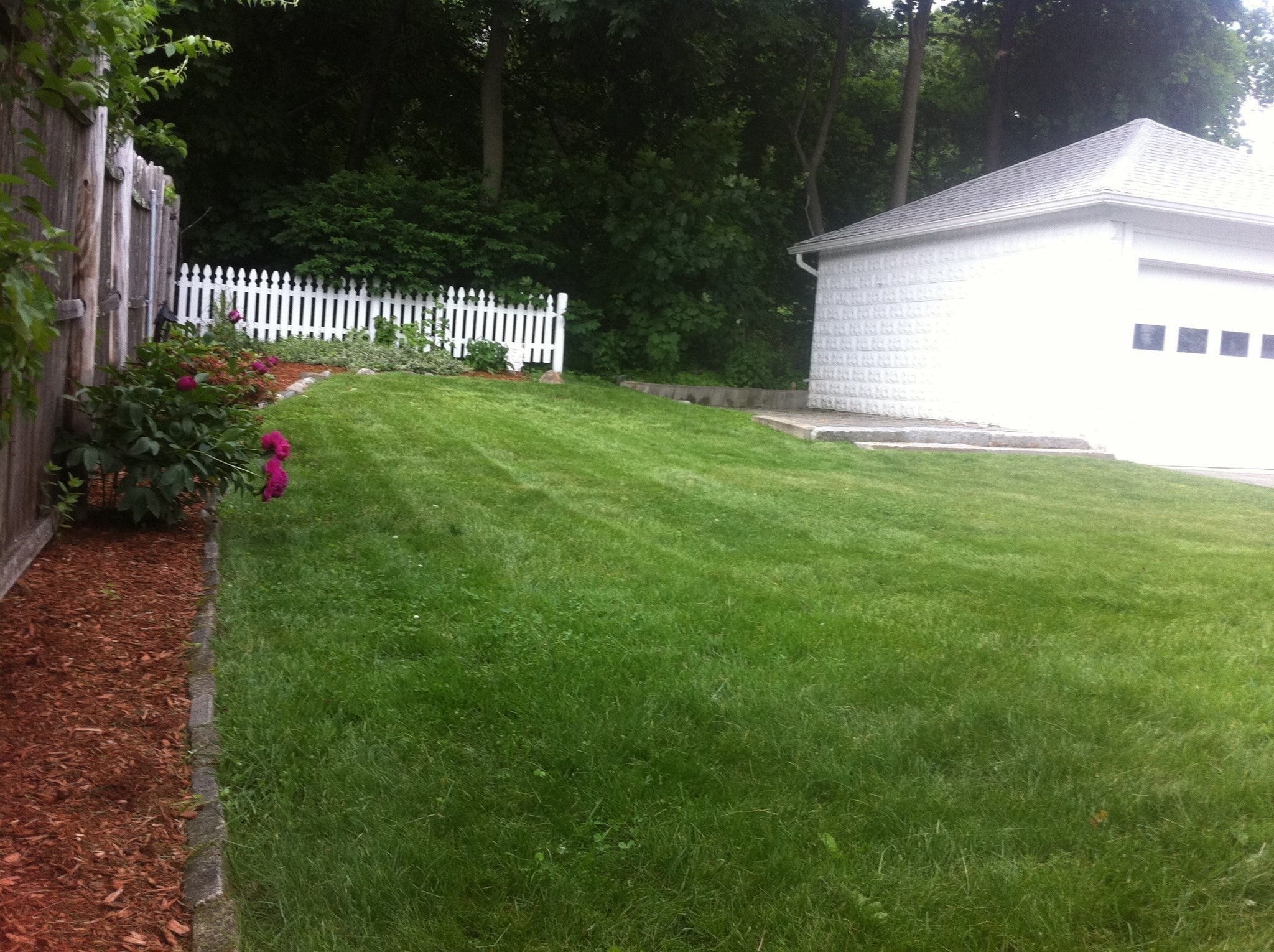 4 Dorset St, Worcester, MA, 4 Dorset St, Worcester, MA Photo #16