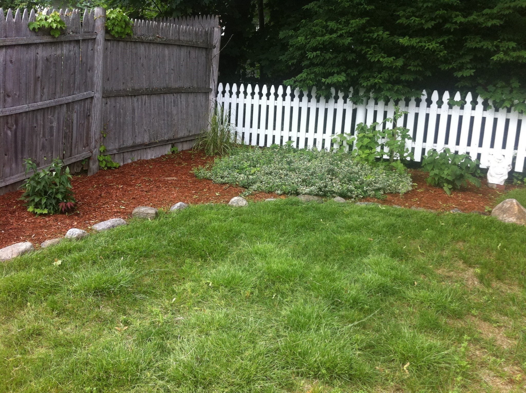 4 Dorset St, Worcester, MA, 4 Dorset St, Worcester, MA Photo #17