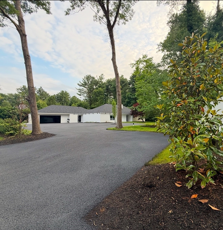 15b Scotchdam Rd