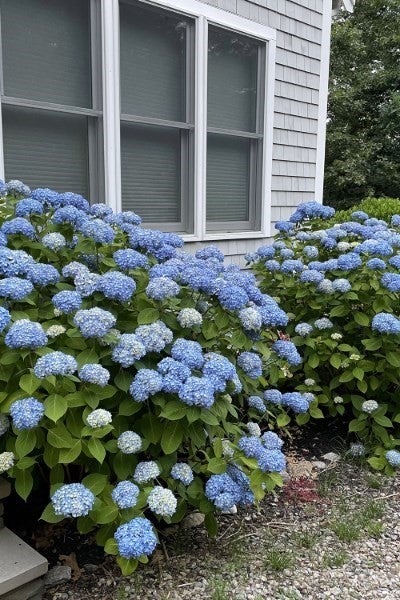 15 Bradford Ln, Eastham, MA, 15 Bradford Ln, Eastham, MA Photo #30