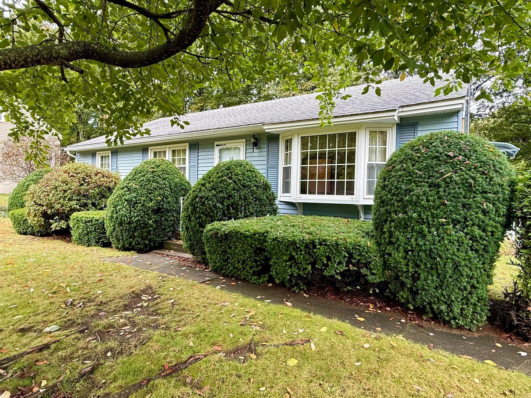 66 Debbie Dr