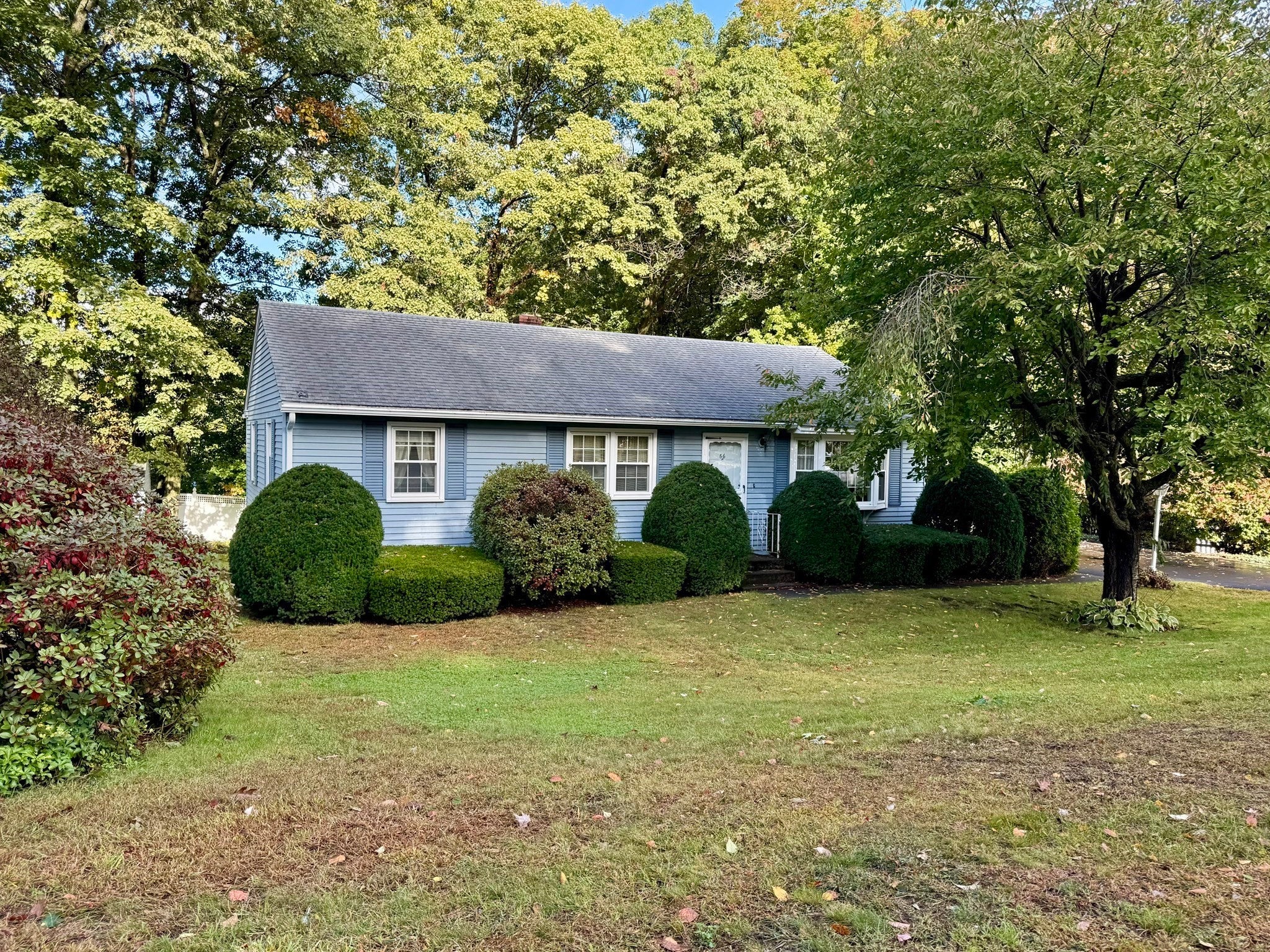 66 Debbie Dr