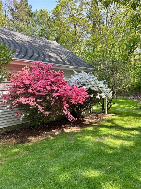 30 King Arthur Rd