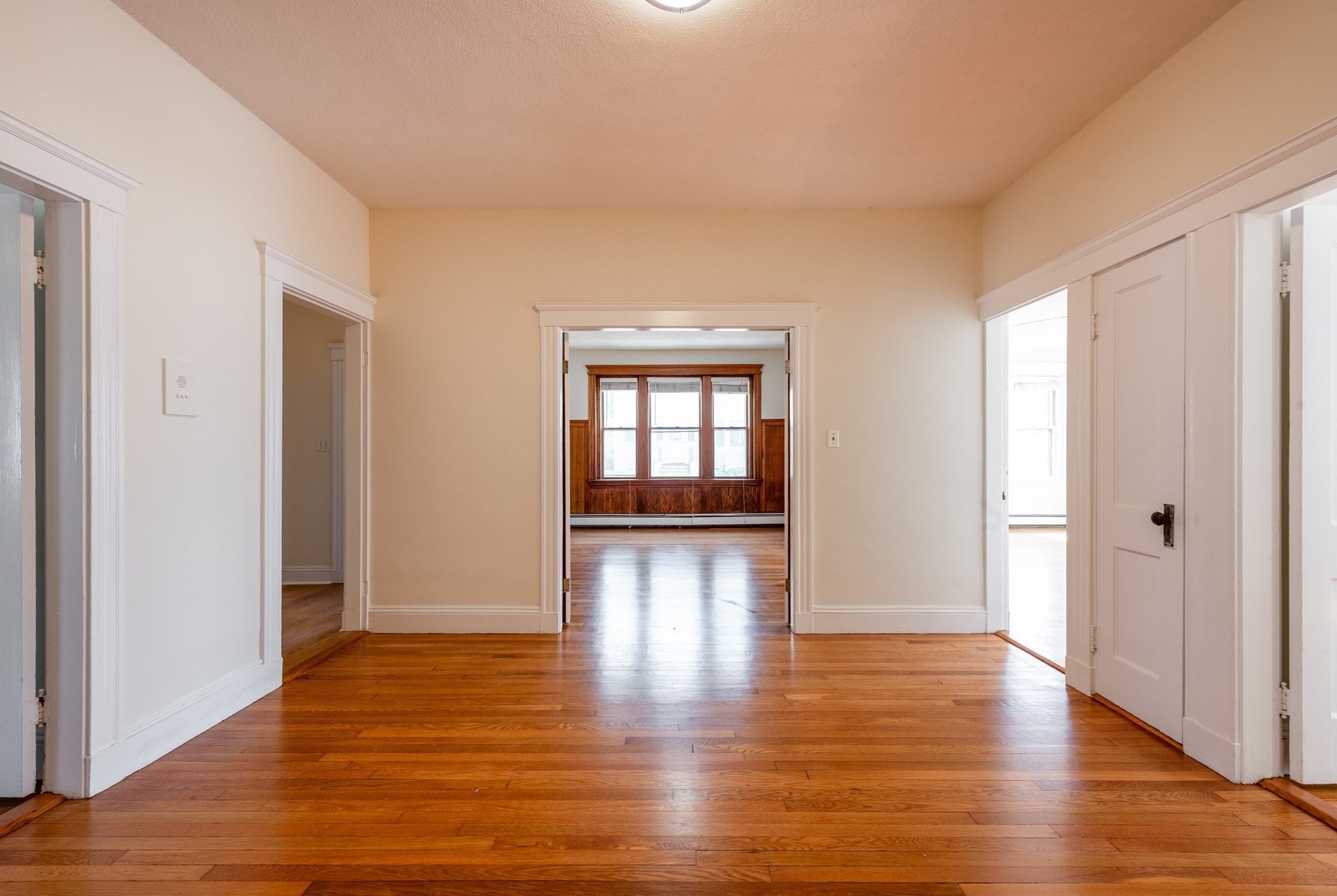 86 Tudor Street 1