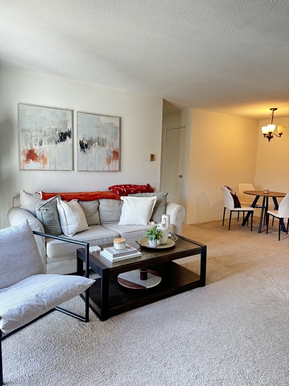 59 Village Brook Lane 5