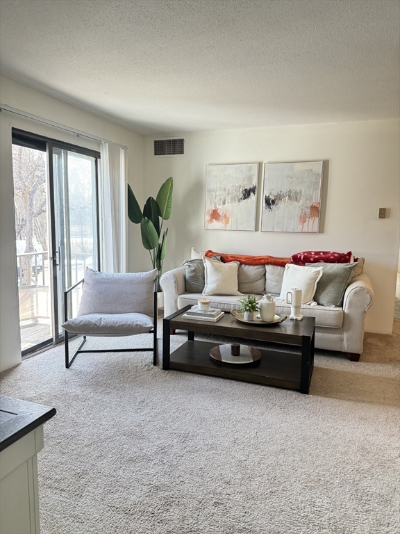 59 Village Brook Lane 5