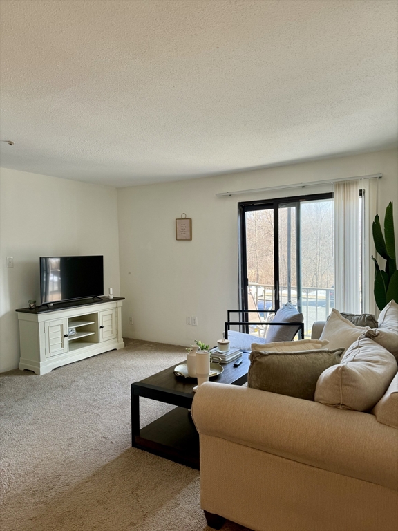 59 Village Brook Lane 5