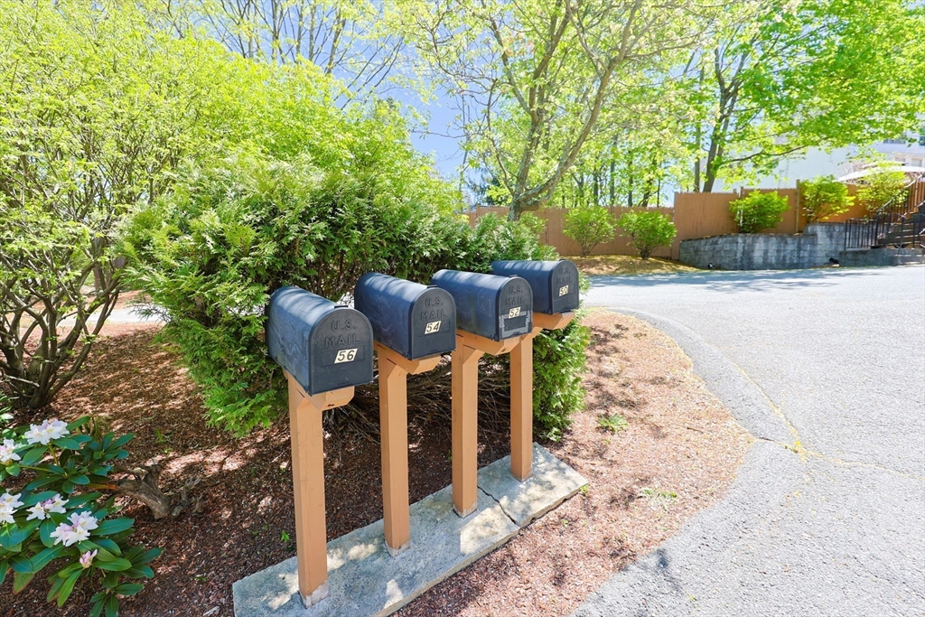 50 Heywood St 50