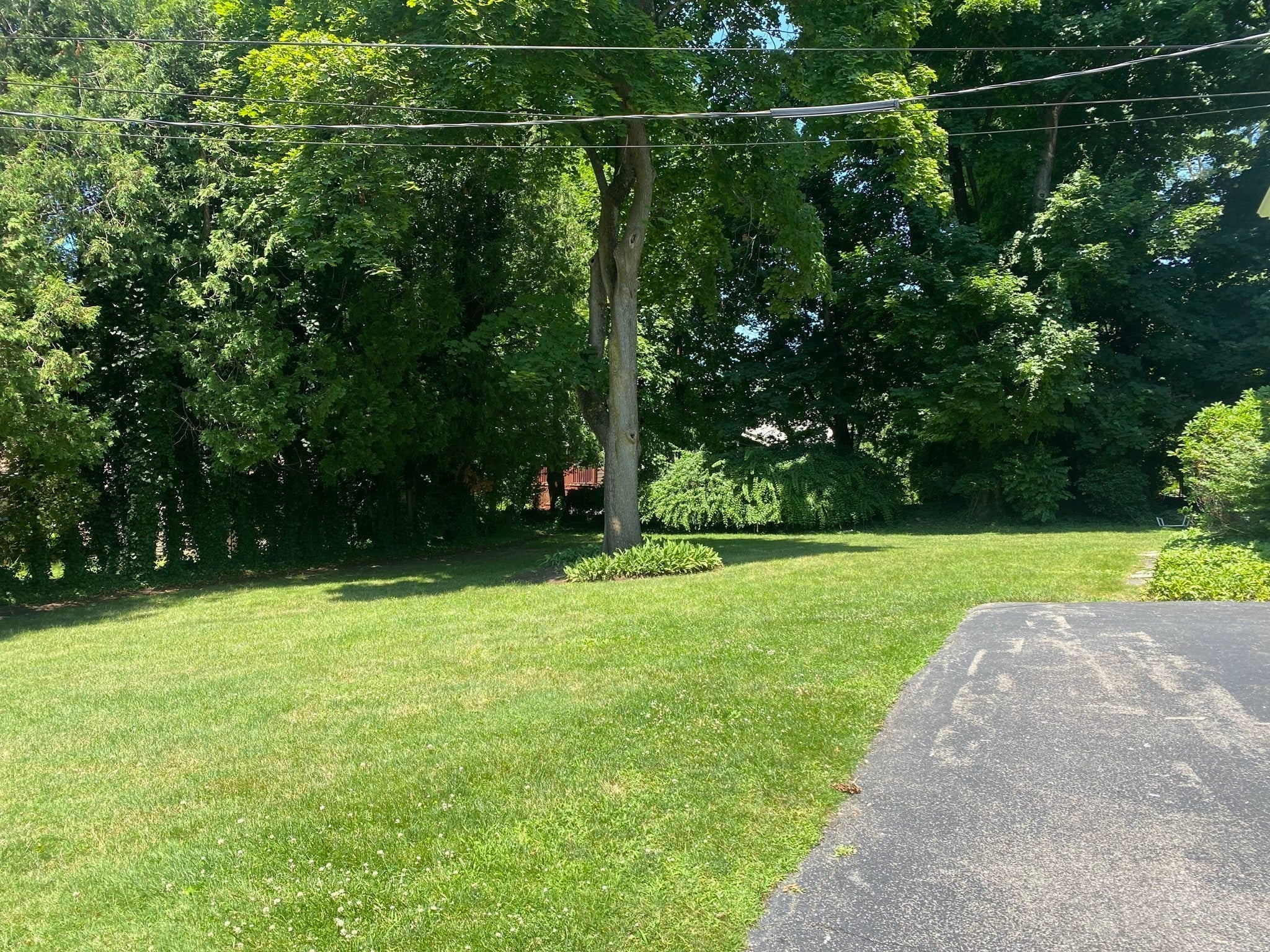 14 Stephen Place, Newton, MA, 14 Stephen Place, Newton, MA Photo #17